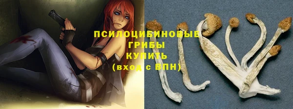 ешки Нефтекумск
