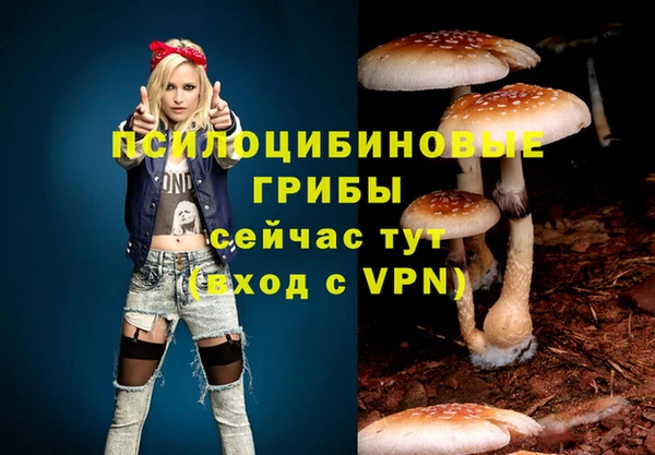 прущие крисы Нея