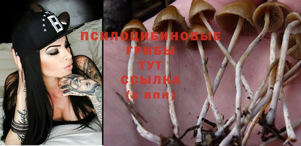 ешки Нефтекумск