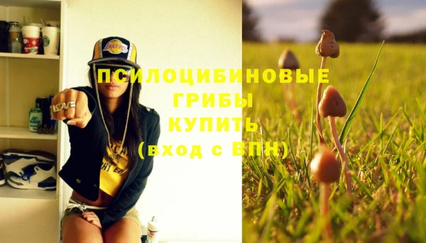дурь Нефтегорск