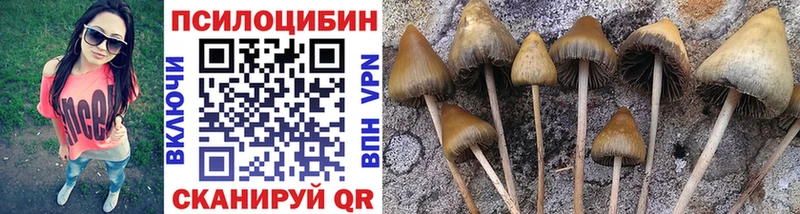 Купить где  Ухта  Галлюциногенные грибы Cubensis 