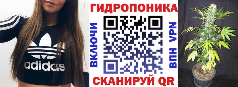 Канабис гибрид Ухта